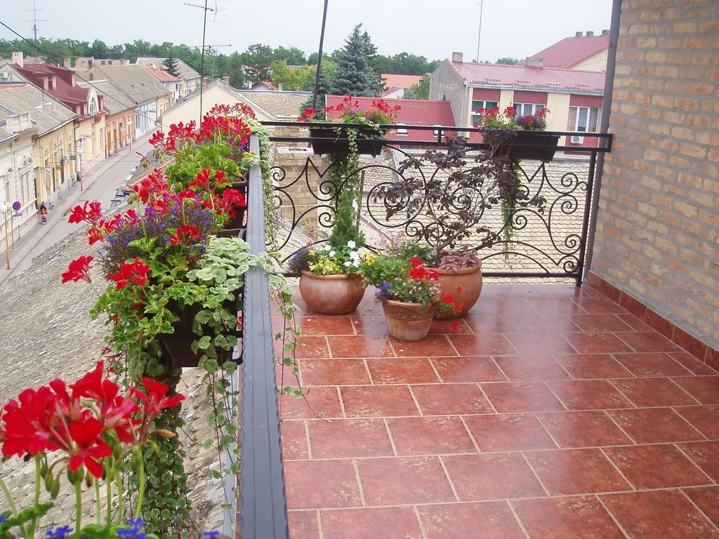 Guest House Prenociste Piccolina Sombor Dış mekan fotoğraf